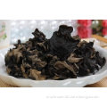 Auricularia Auricular Powder; Edible and Medicinal Mushroom; condiment;GMP/HACCP Certificate;
